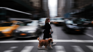 Traffic Noise Could Hurt More Than Your Ears